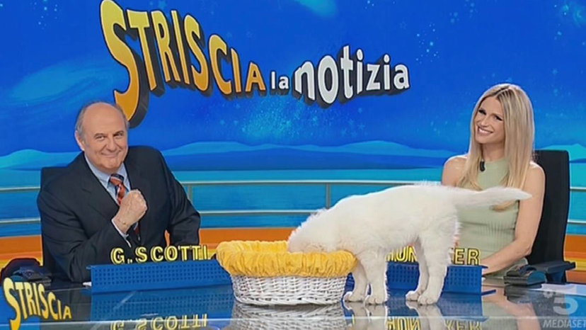 Access prime time di Canale 5, il programma proposto per l’alternanza con Striscia preview