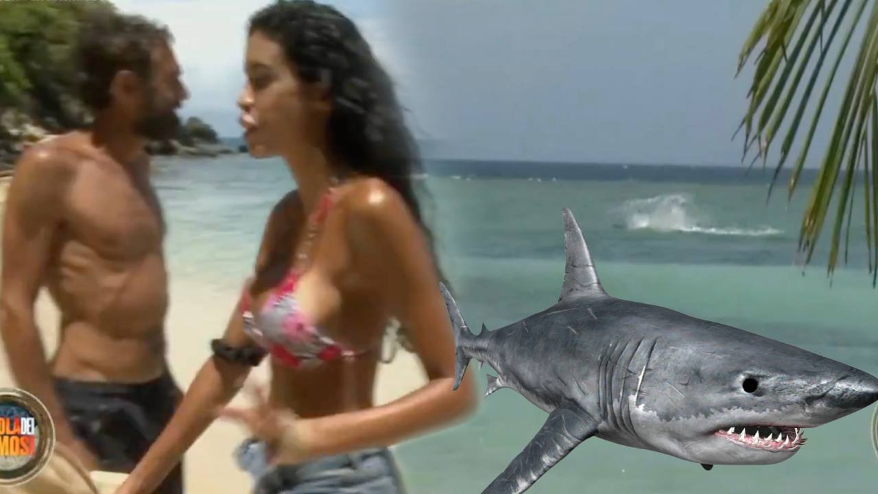 Squalo a L’Isola dei Famosi: “È enorme, sta attaccando una manta”