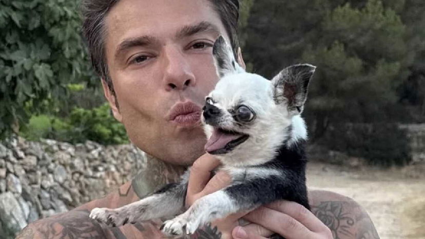 Fedez alla Sagra dello Stoccafisso a Reggio Calabria: il cachet e le sue richieste preview