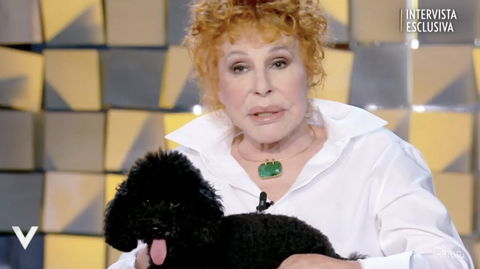 Ondina è il cane di Ornella Vanoni: parla la manager preview