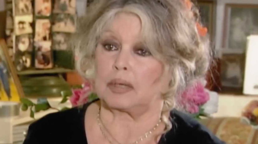 Brigitte Bardot è morta a 91 anni, ma il suo nome continuerà a ballare a Capodanno preview