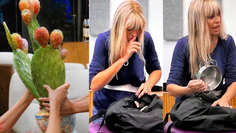 Alessandra Mussolini, tutte le cose che ha rubato al GF Vip: la lista preview