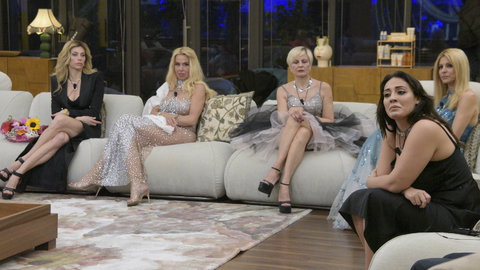 Grande Fratello confermato nel 2027, Endemol pensa a degli spin off: “GF su Twitch con influencer” preview