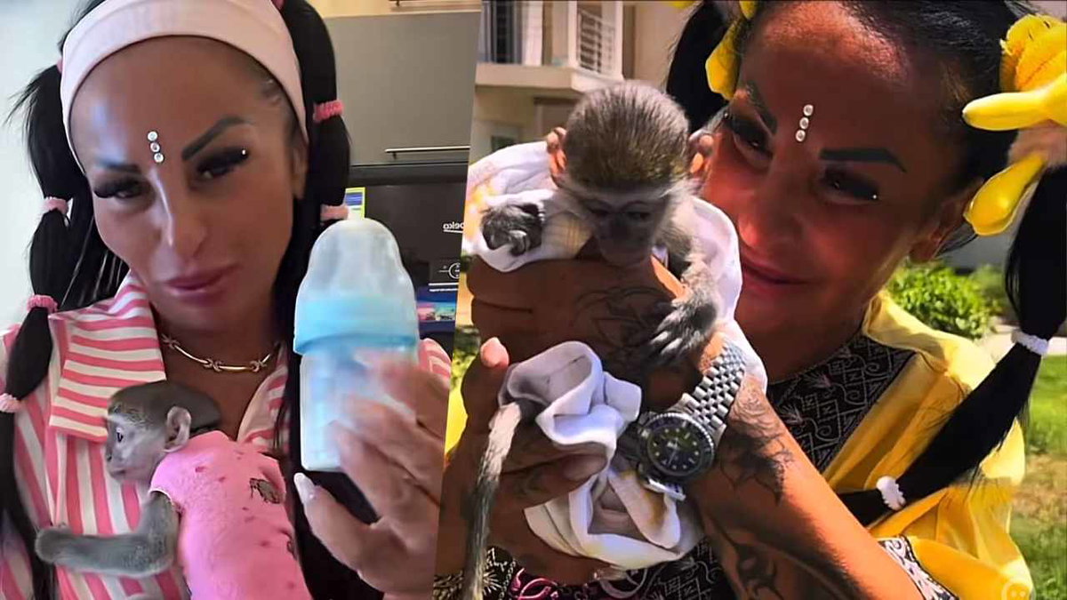 Rita De Crescenzo ha comprato una scimmia e rischia problemi legali: “Non me la toglierete, era in una scatola, ora la curo io” article-post