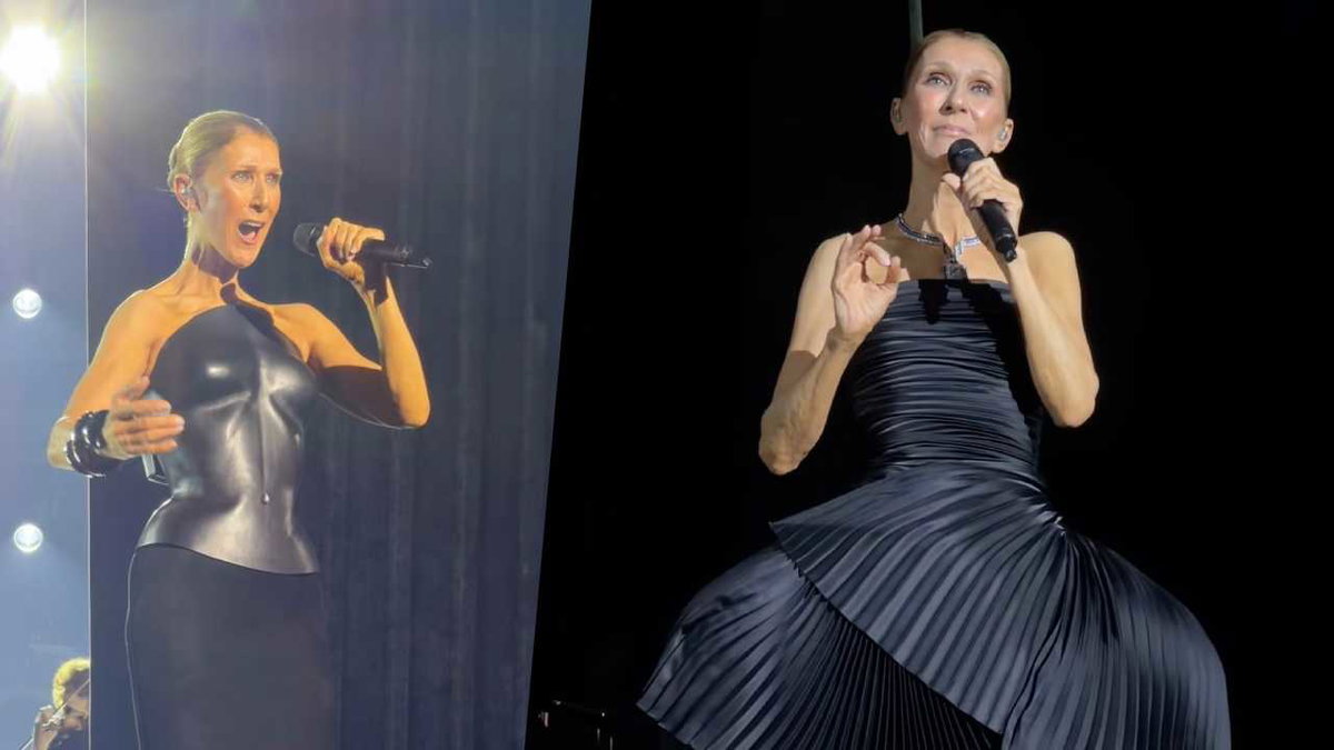 Celine Dion è tornata, il primo concerto dopo sei anni, i video a Parigi article-post