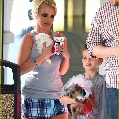 Britney Spears Takes Her Pets To A Dog Hotel