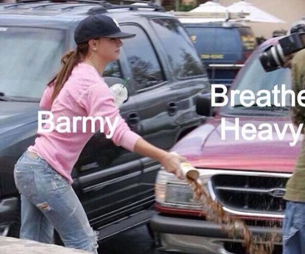 BArmy