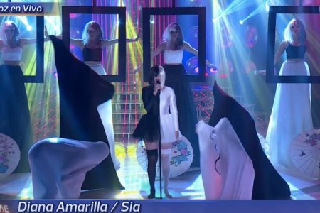 sia-tale-e-quale