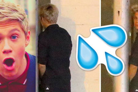 niall-horan-pee