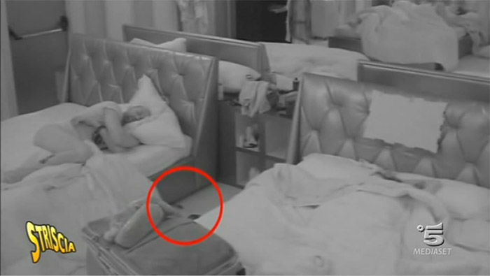 Bitchyf: il sito italiano di gossip news e scandali vip Come trovare un topo in casa