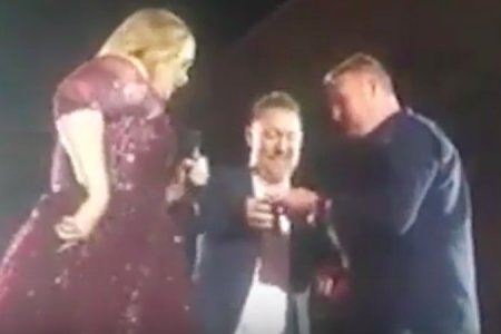adele gay