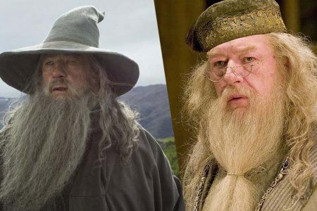 ian mckellen gandalf silenet harry potter
