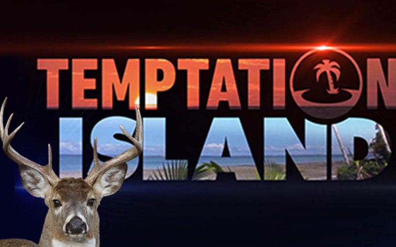 temptation-island-2017