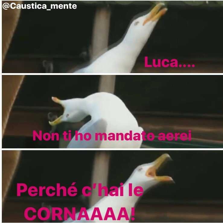 Luca Onestini meme