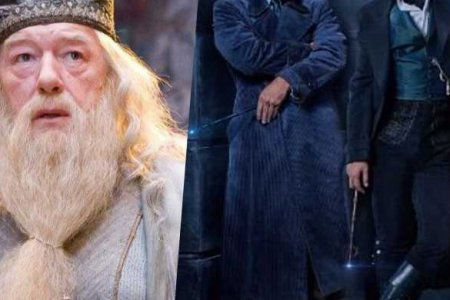 silente animali fantastici gay johnny deep jude law