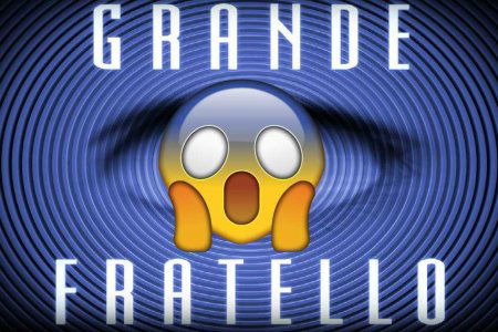 grande fratello concorrenti
