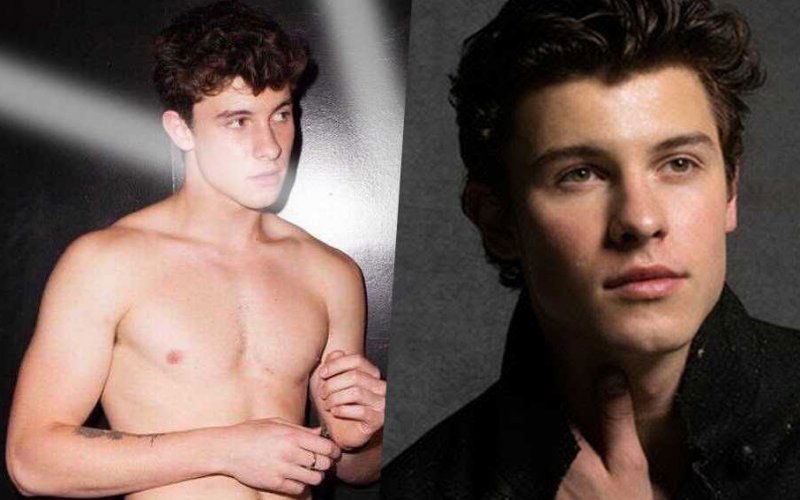 shawn mendes in my blood video