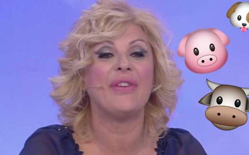 tina cipollari insilti
