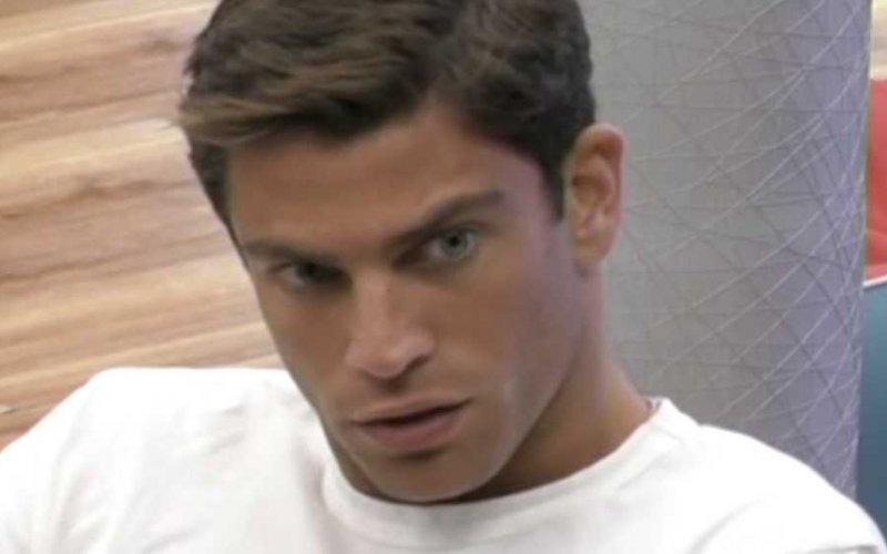 filippo contri cani calci video