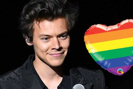 harry styles little bit gay