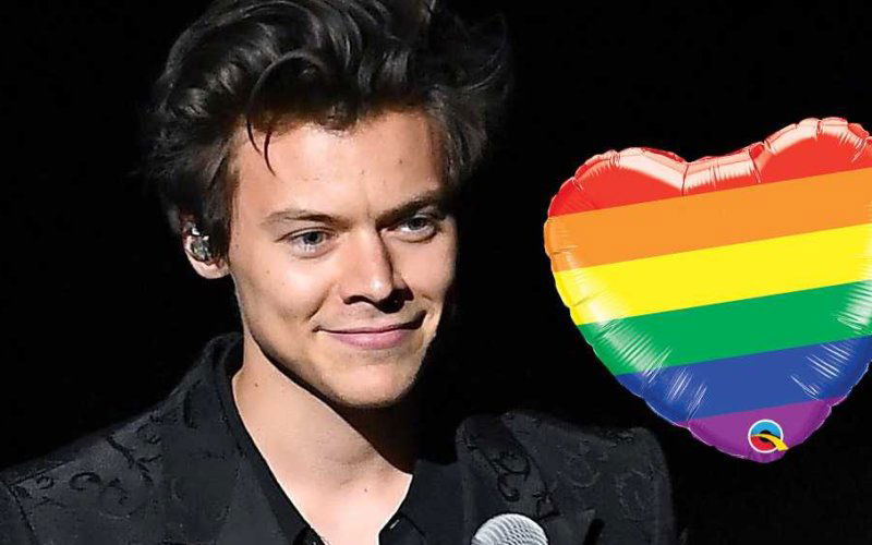 harry styles little bit gay