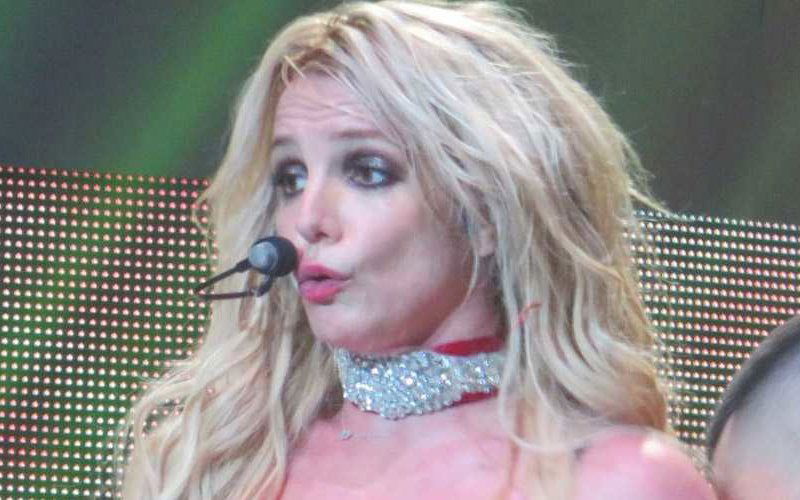 britney spears meet and greet