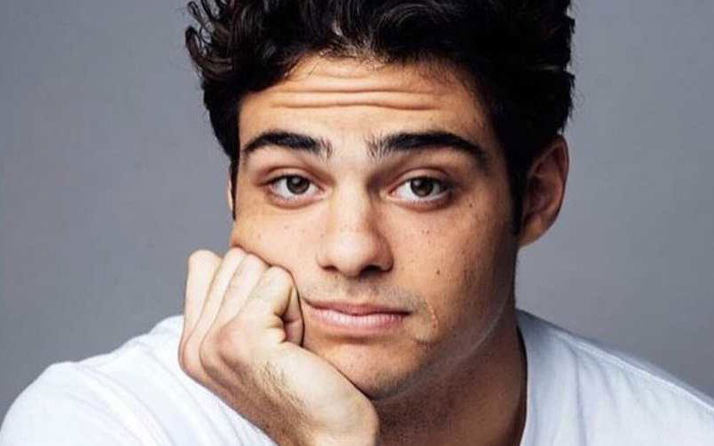 noah centineo beautiful