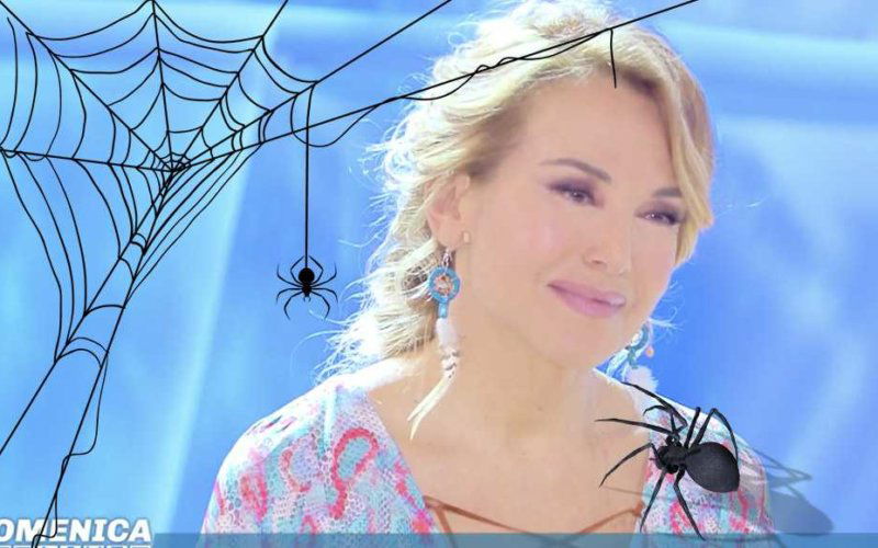 barbara durso ragno domenica live