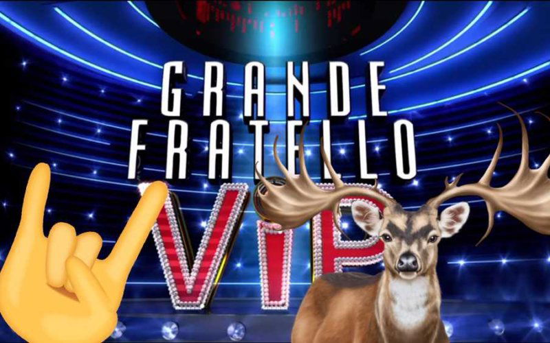 grande fratello vip corna stefano sala