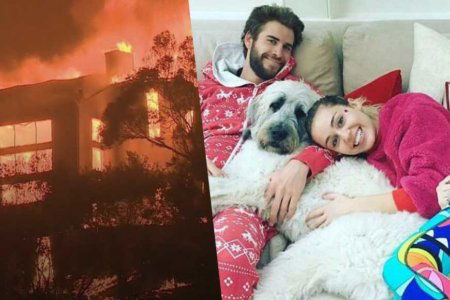 miley cyrus house brun down liam hemsworth