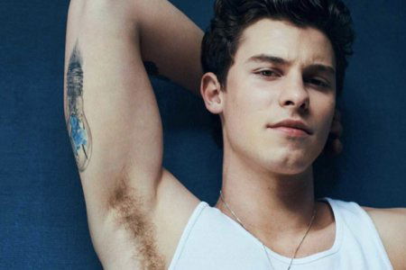 shawn mendes gay homophobic rolling stone