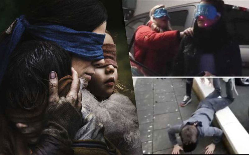bird box challenge vieo netflix