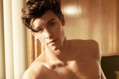 shawn mendes gay