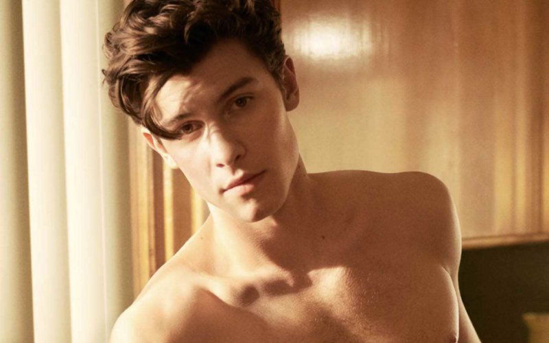 shawn mendes gay