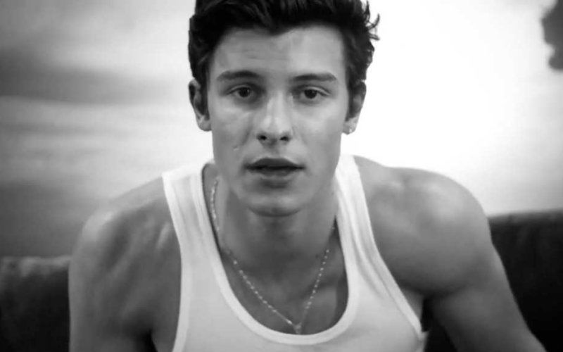 shawn mendes nuovo singolo gay muscoli