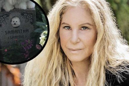 barbra streisand cani clonati samantah scatto