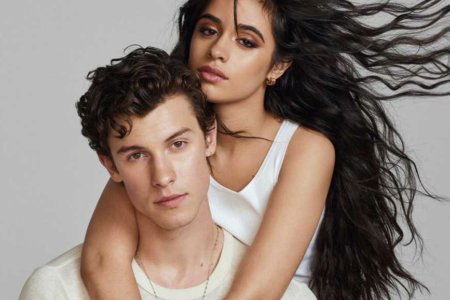 shawn mendes gay camila cabello