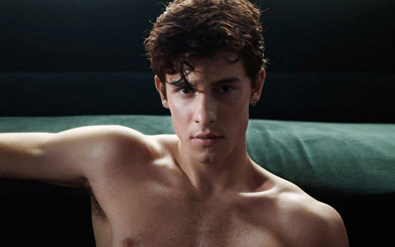 shawn mendes coming out fan