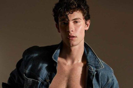 shawn mendes meet and greet gay