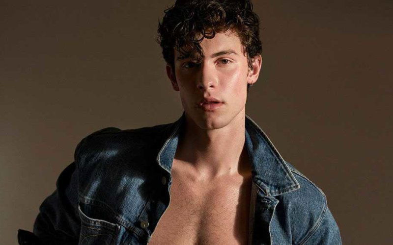shawn mendes meet and greet gay