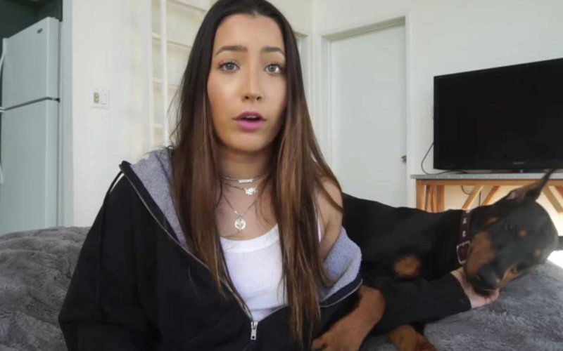 Brooke Houts dog cane doberman