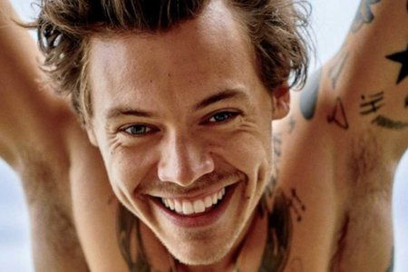 Harry Styles gay