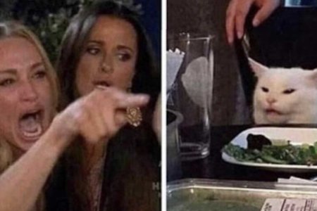 Meme Gatto