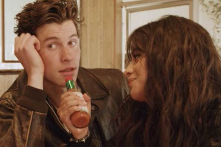 shawn mendes camila cabello story love friends