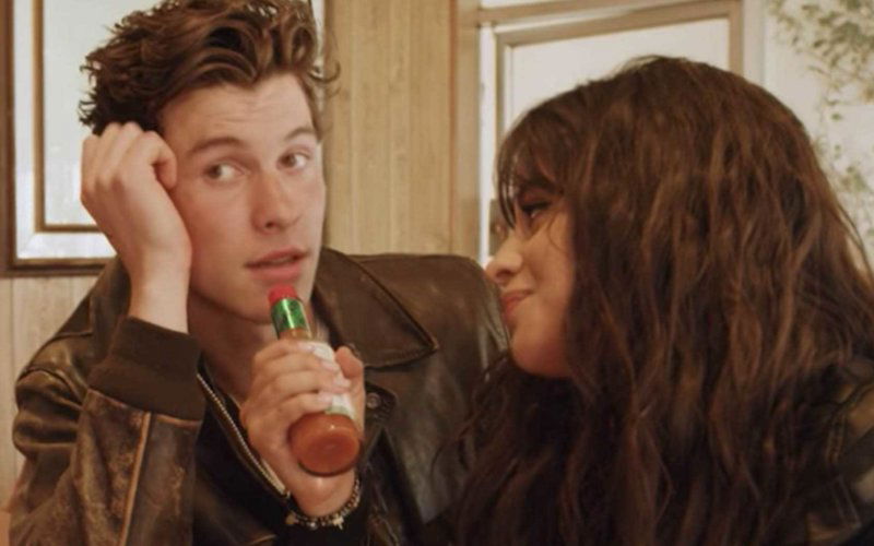 shawn mendes camila cabello story love friends