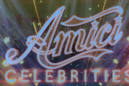 Amici Celebrities anticipazioni semifinale Maria ospiti