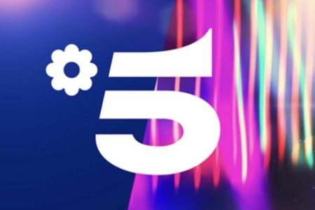 Mediaset programma Grande Fratello Vip