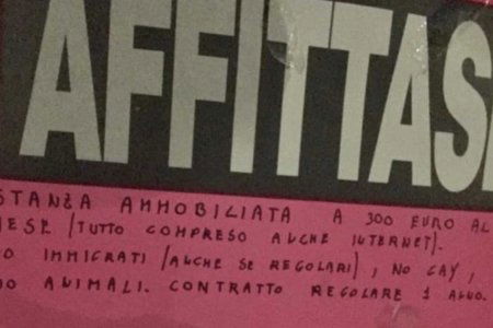 Roma affitto gay immigrati animali quartiere casa appartamento omofobia