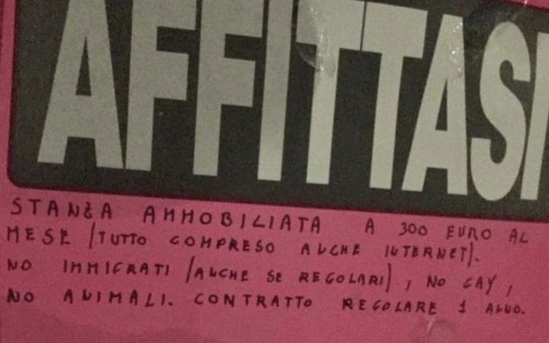Roma affitto gay immigrati animali quartiere casa appartamento omofobia