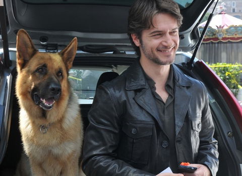 Rex, stasera su RaiDue la quarta serie con Ettore Bassi: intervista e trama – FOTO preview